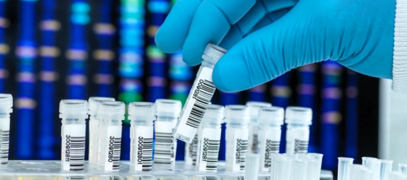 AIEP refuerza su liderazgo en el cuidado de personas mayores con webinar sobre Alzheimer